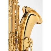 Selmer AXOS - saxophone ténor avec étui et bec Selmer S80-C* complet