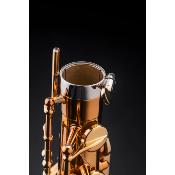 Selmer SUPREME - Saxophone tenor Passivé Gravé avec étui et accessoires