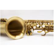 Selmer SUPREME - Saxophone alto Brossé Gravé avec étui et accessoires