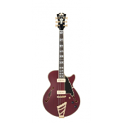 D'ANGELICO Deluxe SS Satin Trans Wine