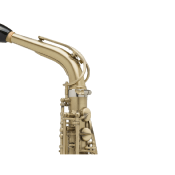 Selmer SUPREME - Saxophone alto Passivé Gravé avec étui et accessoires