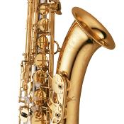 Yanagisawa T-WO30 ELITE - Saxophone ténor avec bocal et tube en argent massif, pavillon laiton verni