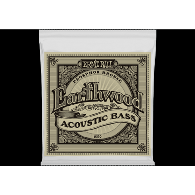 Cordes Basse Acoustique Ernie Ball Earthwood 45-95 Phosphore Bronze