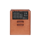 ACUS One ForStrings 10 Ferdi Wood