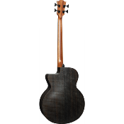 guitare folk lag basse électro-acoustique sauvage