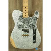 Fender Telecaster Brad Paisley