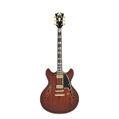 D'ANGELICO Deluxe DC Satin Brown Burst