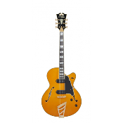 D'ANGELICO Excel 59 Vintage Natural