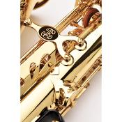 Buffet Crampon Prodige BC8301 - saxophone alto verni avec étui sac à dos