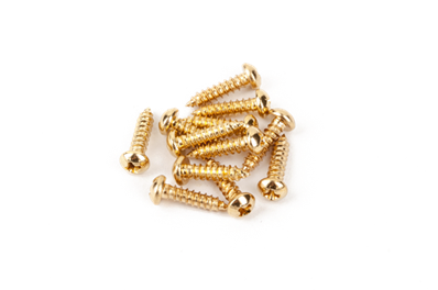 Pure Vintage Tuning Machine Mounting Screws, Gold, (12)