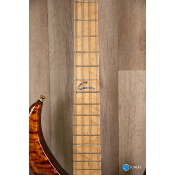 Peavey Cirrus USA Birds eye maple neck Tiger Eye maple