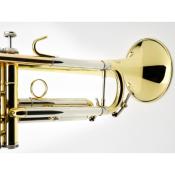 B&S PRODIGE BS210LR-1 - Trompette Sib, branche inversée - vernie