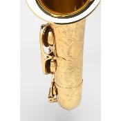 Selmer AXOS - saxophone ténor avec étui et bec Selmer S80-C* complet