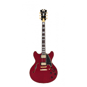 D'ANGELICO Excel DC Trans Cherry