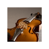 Fishman PRO-V30-0VI - v-300 série concert