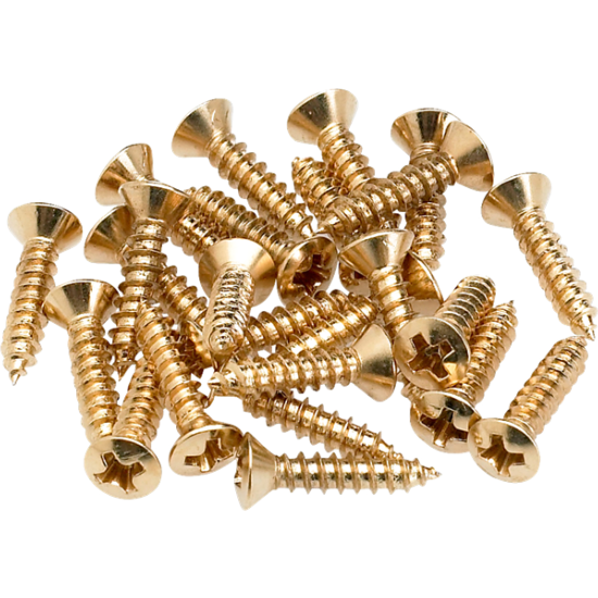 Pickguard/Control Plate Mounting Screws (24) (Gold)