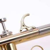 COURTOIS BELLECOUR - Cornet Sib verni