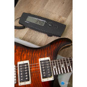 PRS SE Custom 24 orange Tiger Smokeburst limiited edition