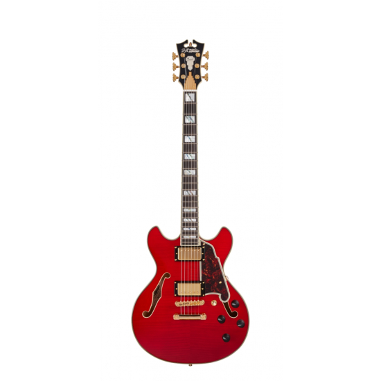 D'ANGELICO Excel Mini DC Trans Cherry