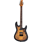 Guitare electrique sterling by music man signature richardson 6 natural poplar burl burst