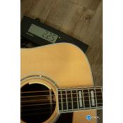 Guild D55E natural