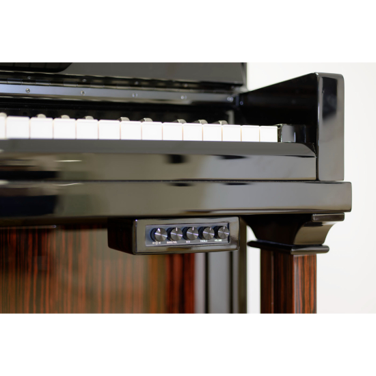 Pleyel Magistral version installation