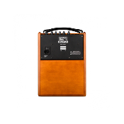 GR GUITAR WD Acoustic 5