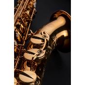 Selmer SUPREME - Saxophone tenor Passivé Gravé avec étui et accessoires