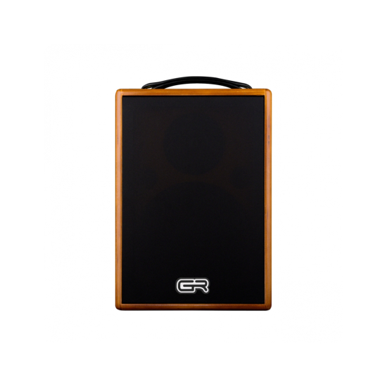 GR GUITAR WD Acoustic 8