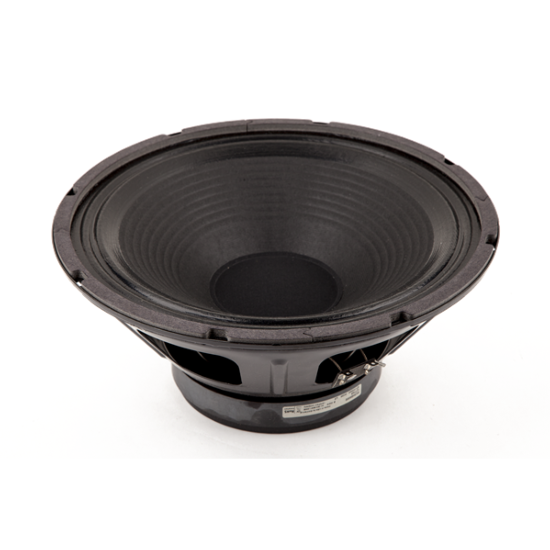 Standard Speaker, 12, 8 ohm, 100 watt