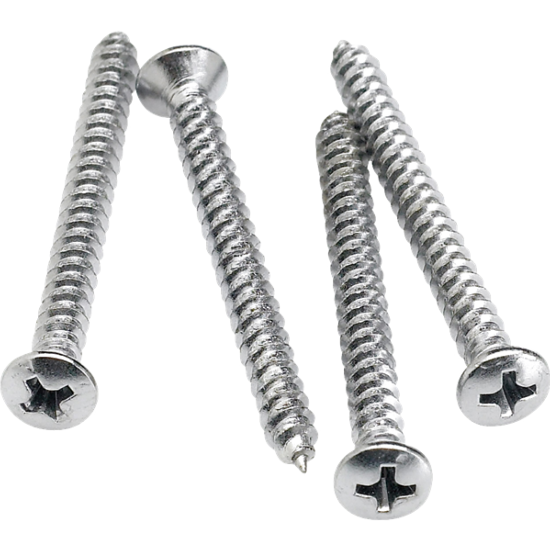 Neck Mounting Screws (4) (Chrome)