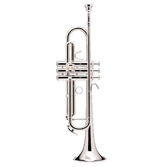 B&S PRODIGE BS210-2 - Trompette Sib, branche standard - argentée