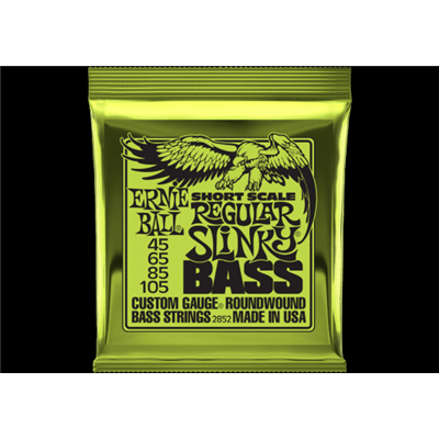 Cordes Basse Electrique Ernie Ball 45-105 Shortscale