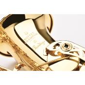 Buffet Crampon Prodige BC8301 - saxophone alto verni avec étui sac à dos