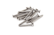 Bass/Telecaster Bridge/Strap Button Mounting Screws, Phillips-Head, Chrome, (12)