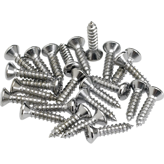 Pickguard/Control Plate Mounting Screws (24) (Chrome)