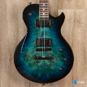 Schecter Solo II Standard Ocean Blue burst