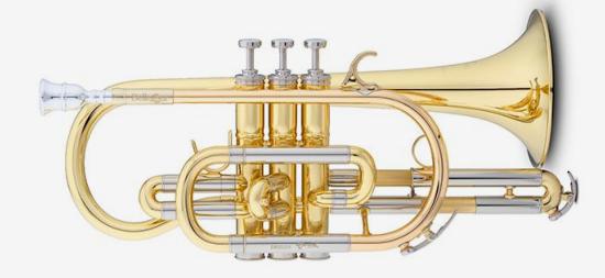 COURTOIS BELLECOUR - Cornet Sib verni