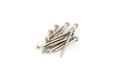 Pure Vintage Jazzmaster/Telecaster Pickup Mounting Screws, Nickel (12)