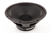 Standard Speaker, 12, 8 ohm, 100 watt