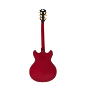 D'ANGELICO Excel DC Trans Cherry