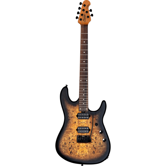 Guitare electrique sterling by music man signature richardson 6 natural poplar burl burst
