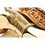 Buffet Crampon Prodige BC8301 - saxophone alto verni avec étui sac à dos