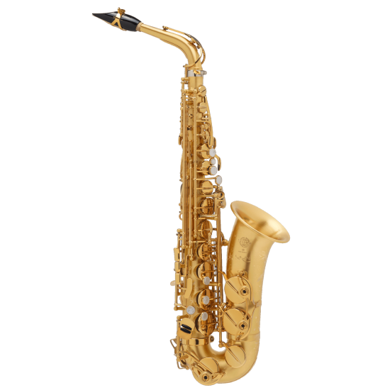 Selmer SUPREME - Saxophone alto Brossé Gravé avec étui et accessoires