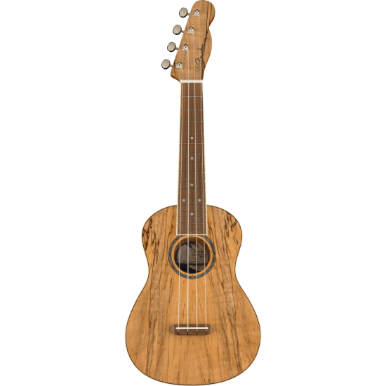 Ukulele Concert Fender Zuma Spalted Maple