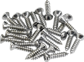 Pickguard/Control Plate Mounting Screws (24) (Chrome)