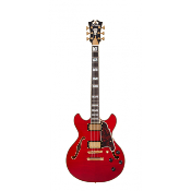 D'ANGELICO Excel Mini DC Trans Cherry