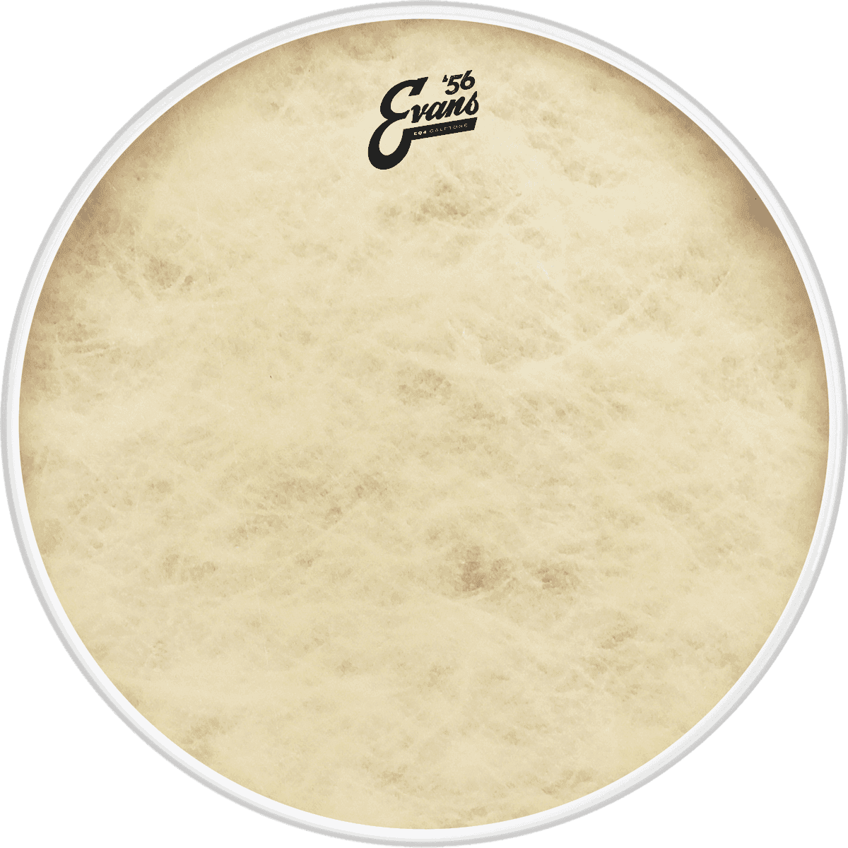 Evans BD20GB4CT - eq4 calftone gc 20