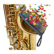 BG ACST - Filtre anti-confettis pour saxophone ténor