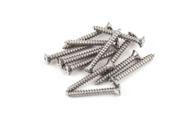 Bass/Telecaster Bridge/Strap Button Mounting Screws, Phillips-Head, Chrome, (12)